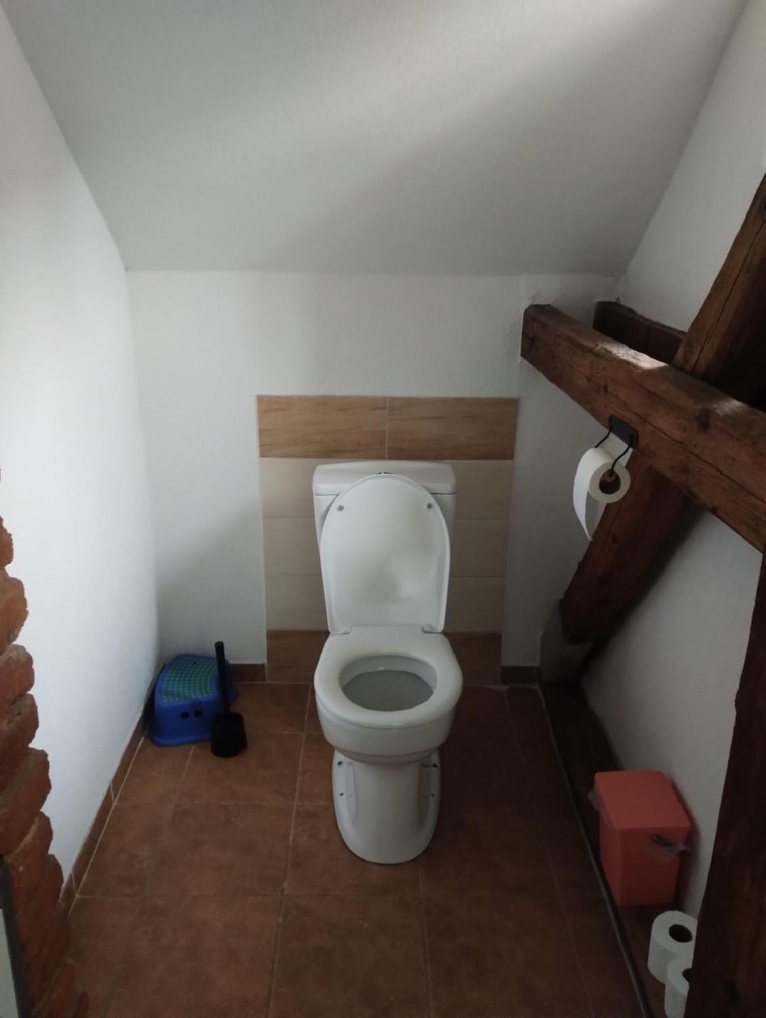 Ubytovani Pod Jezem Loket Kültér fotó